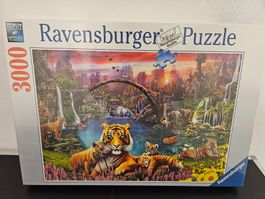 Neu - Ravensburger - Puzzle 3000 Tiger in Lagune