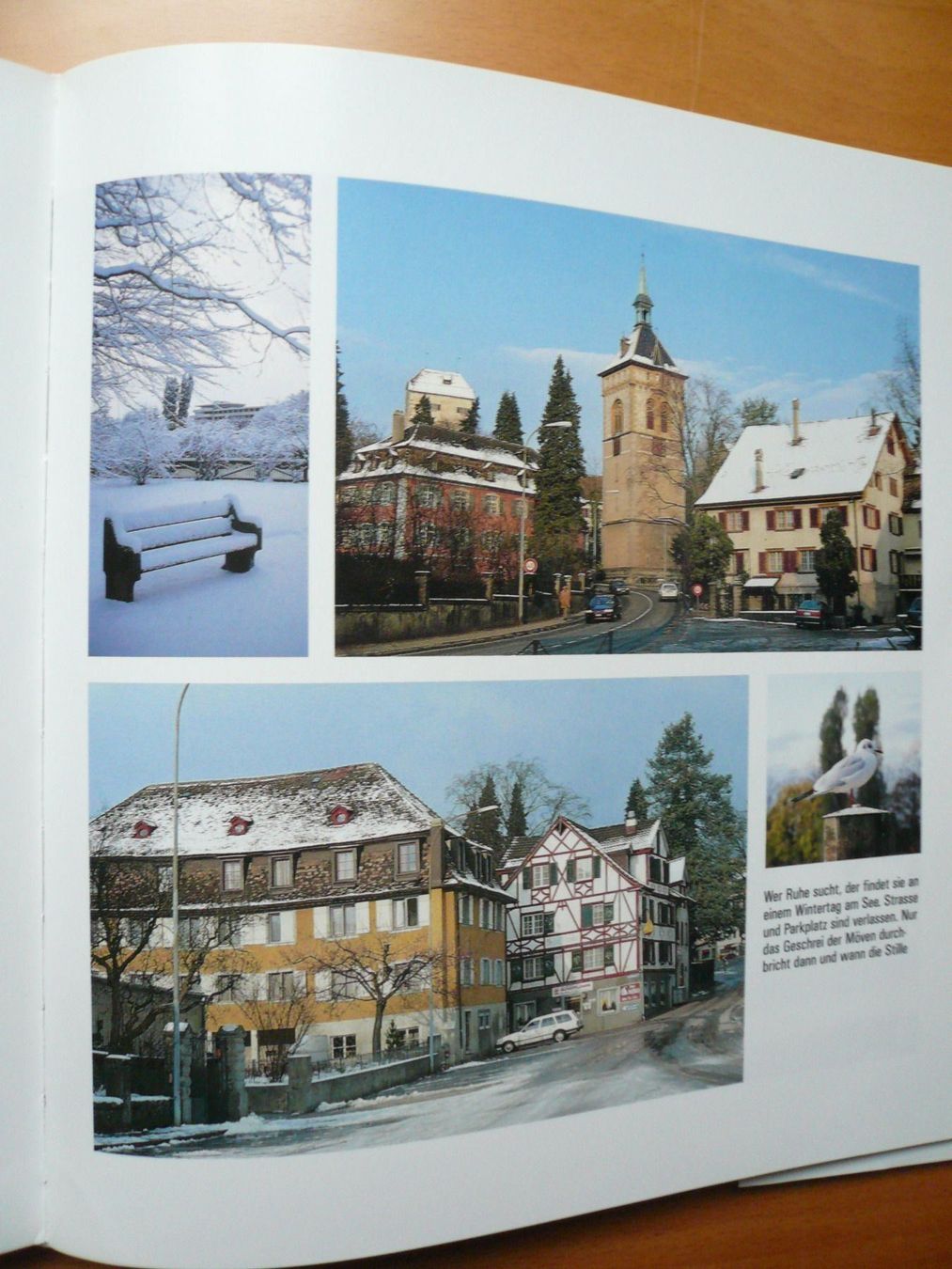 Libri: Thurgau - Chronik von Arbon am Bodensee – Nuovo (secondo la descrizione) da Brunnadern venduto da lesezirkel 1