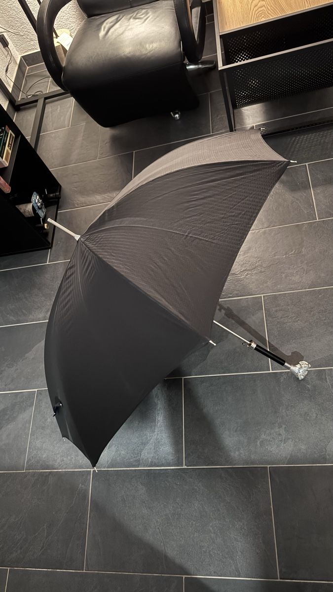 Ombrelli: Pasotti Schirm mit Labrador Handle – Usato da Brugg AG venduto da GiovanniVercetti 4