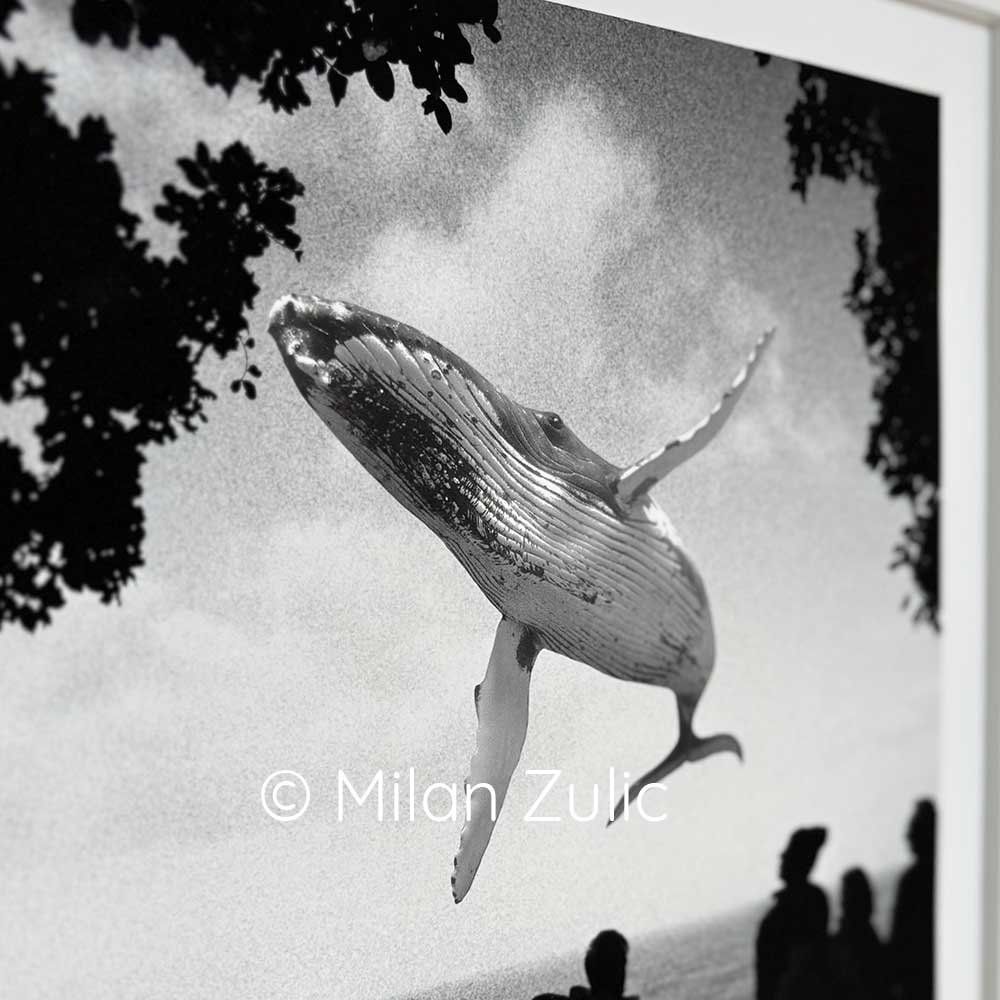 Foto & Immagini: Travel postcards 009 – Nuovo (secondo la descrizione) da Uetikon am See venduto da mil_7k2b 1