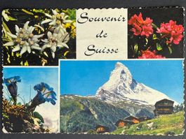 Souvenir de Suisse - Alpenflora - Matterhorn - Kultkarte !!!