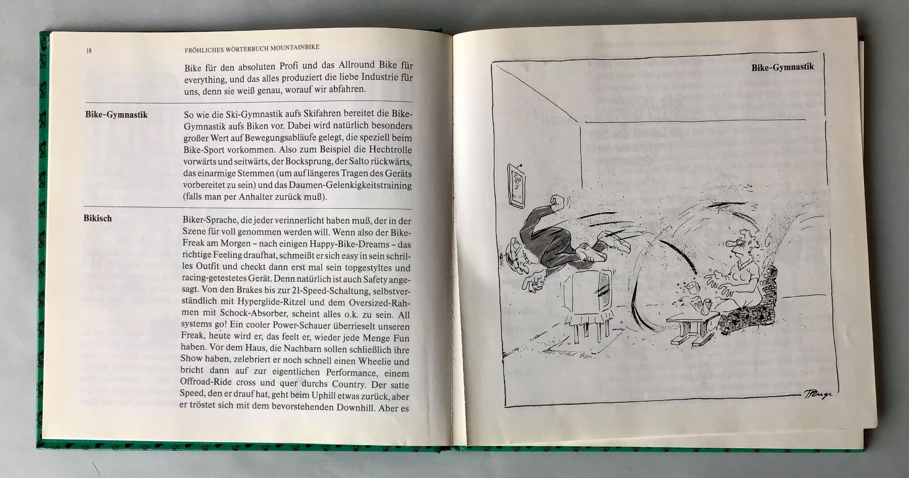 Fumetti: Mountainbike (Comic - Wörterbuch) – Usato da Bubendorf venduto da Alpenheidi 4