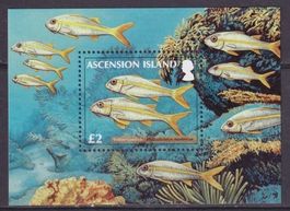 Ascension Island, Mi Bl 71**, KW € 8.00