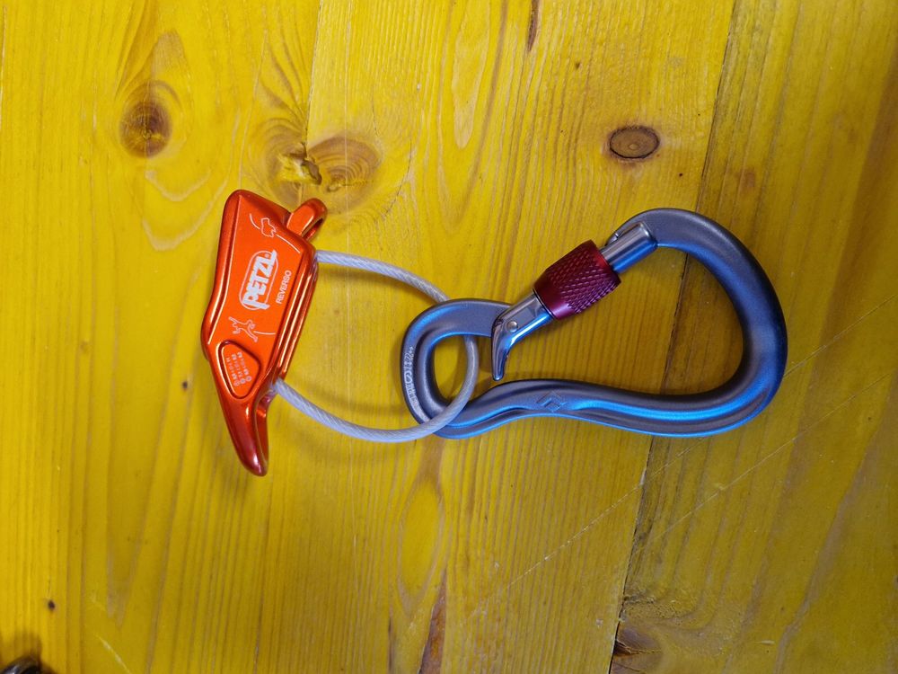 Petzl Reverso Sicherungsgerät (Neu (gemäss Beschreibung)) in Islikon ...