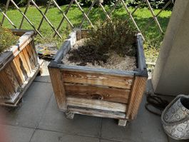 Pflanzkasten aus Holz quadratisch gebrauchter Zustand