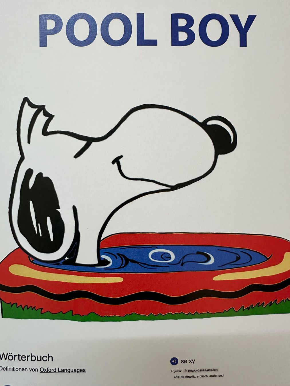 Poster & Bilder: KeC: Snoopy - Pool Boy von Beruf, signiert 8/15 – Neu (gemäss Beschreibung) aus Meilen von Smgdesign 4