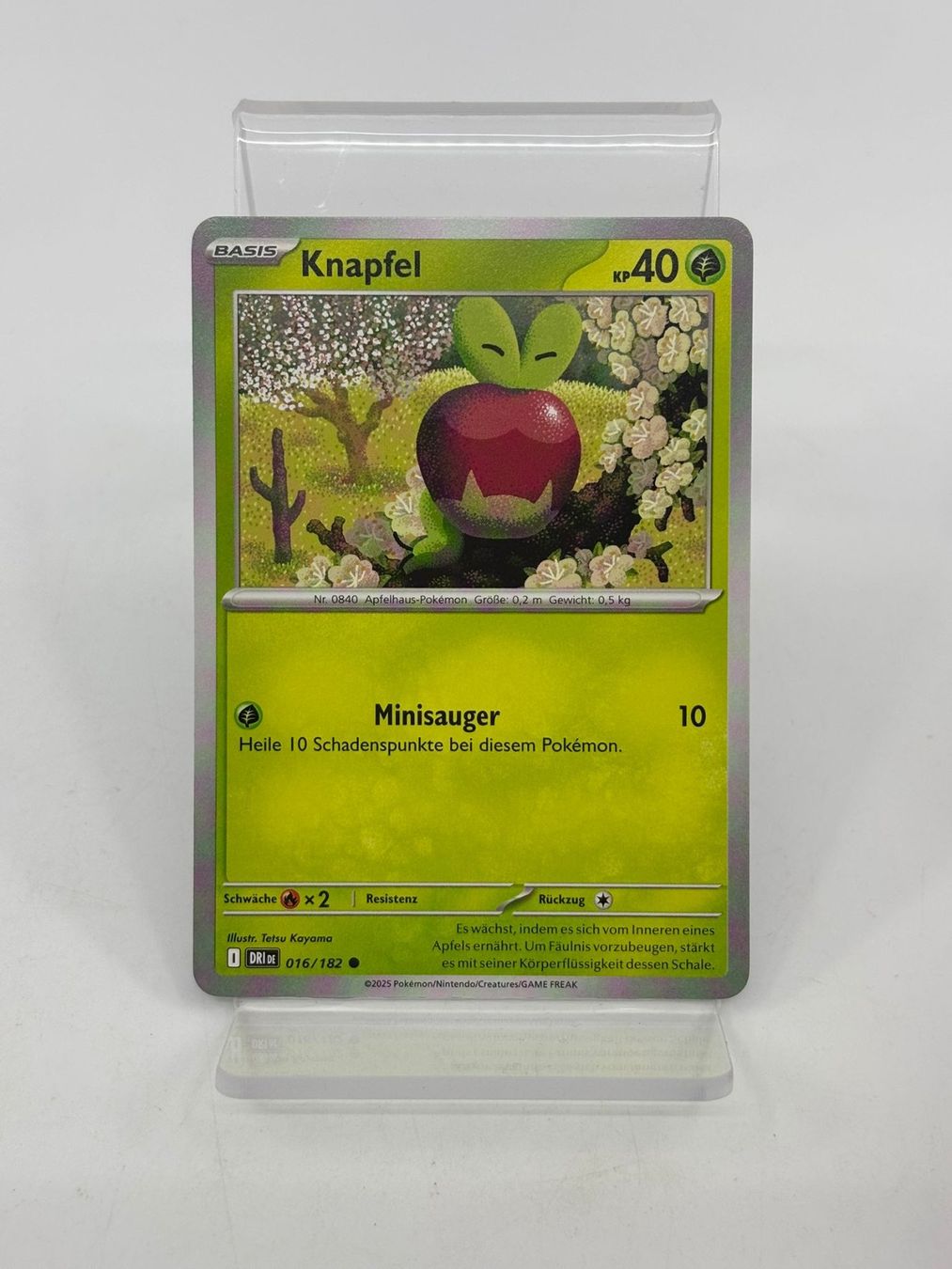 Pokémon Carte collezionabili: Pokemon Knapfel 016/182 – Usato da Herisau venduto da Pokemon2026