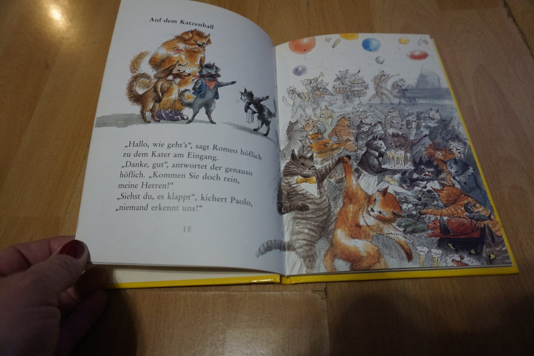 Libri: Romeo liebt Julia - Kinderbuch Klassiker – Usato da Zürich venduto da einalemjena 1