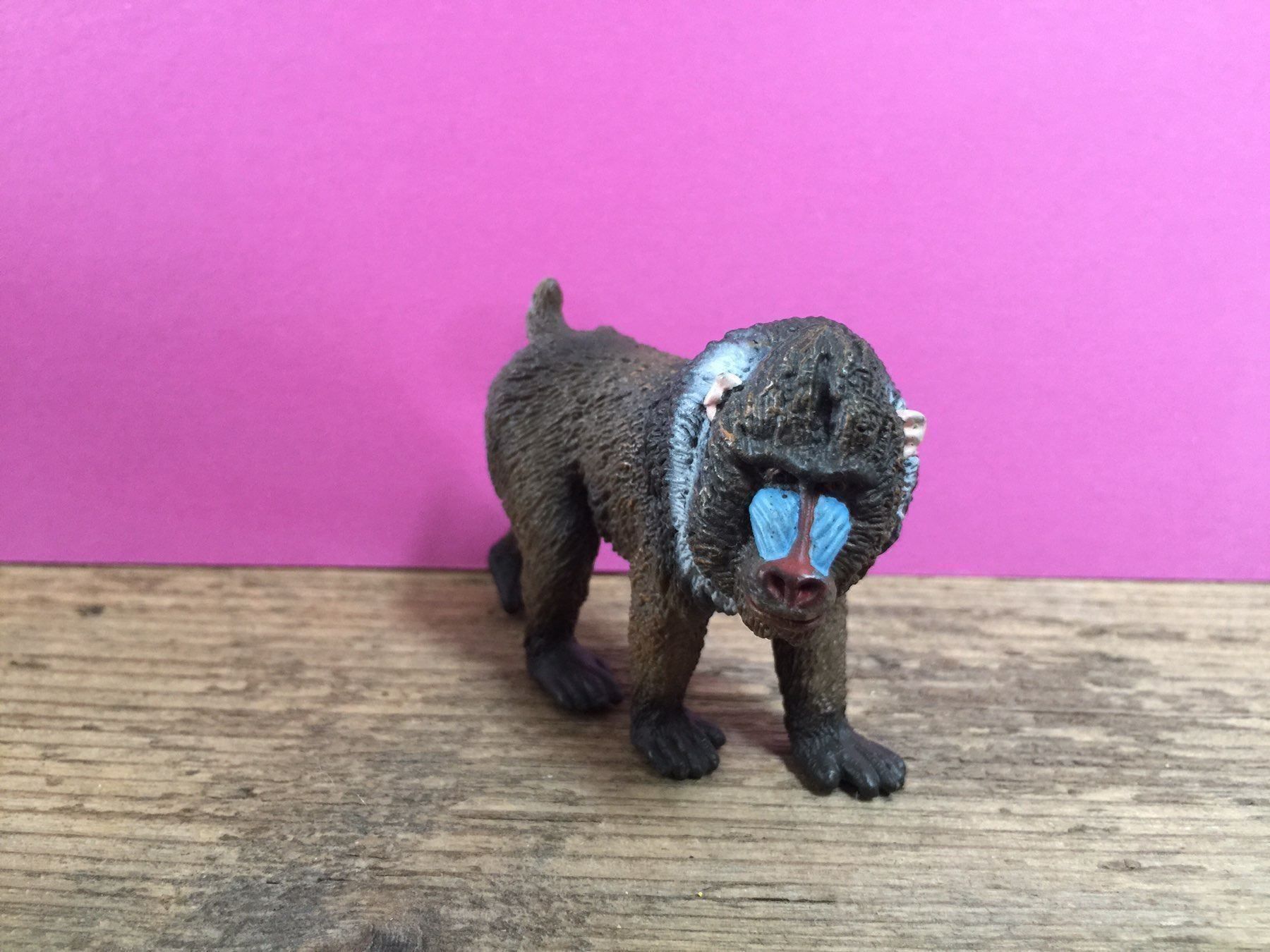 Schleich Statuette: Schleich 14715 Mandrill Männchen Affe – Usato da Ennetbaden venduto da mapa05 2