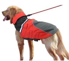 Warmer Winter Hundemantel Wasserabweisend 54 cm rot schwarz