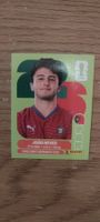 Panini FIFA World Cup 2026 Sticker - POR 14 - Joao Neves