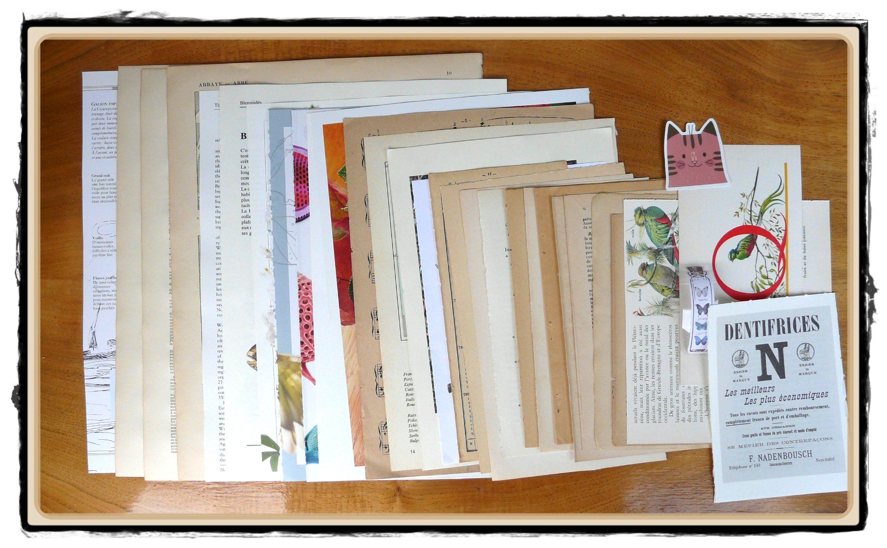 Libri: ephemera 6/papier collage bastelpapier scrapbooking +Versand – Usato da Pully venduto da websurfer1