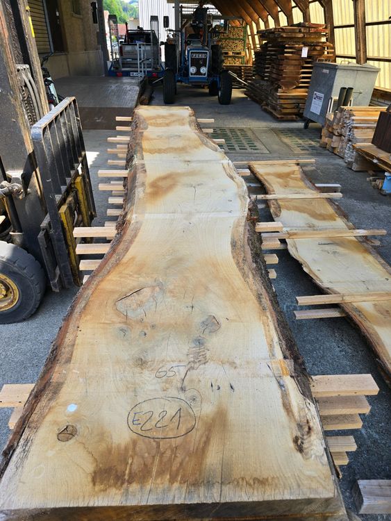 Articoli in legno: Eichenbrett Nr. 221 – Nuovo (secondo la descrizione) da Lützelflüh-Goldb venduto da ch.waelchli-holz.ch
