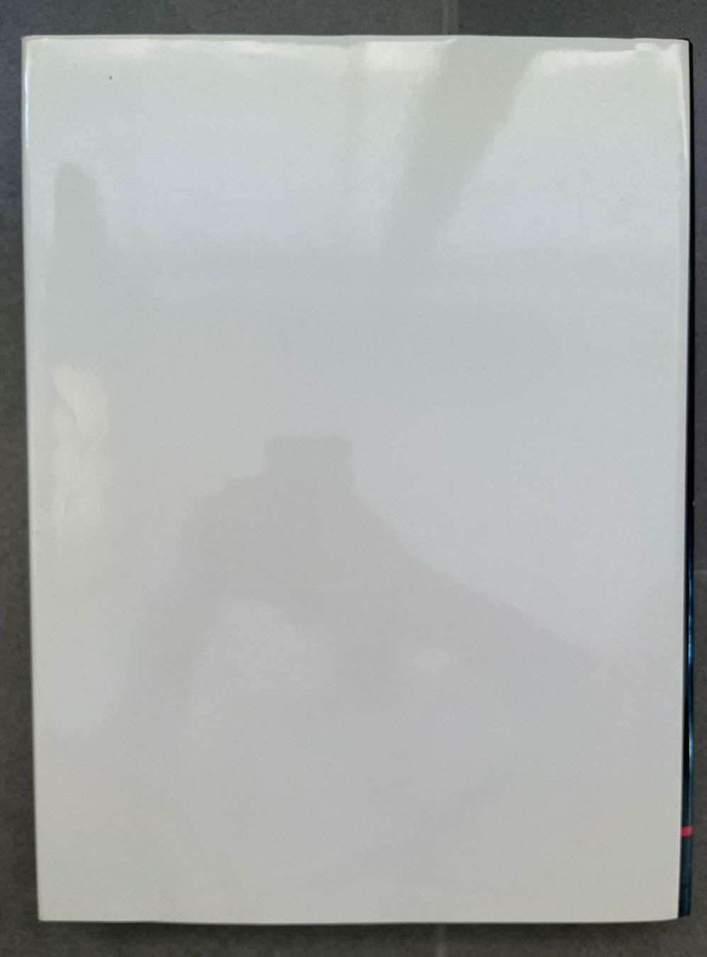 Libri: René Magritte DuMont 1975 – Usato da Zofingen venduto da angito 6