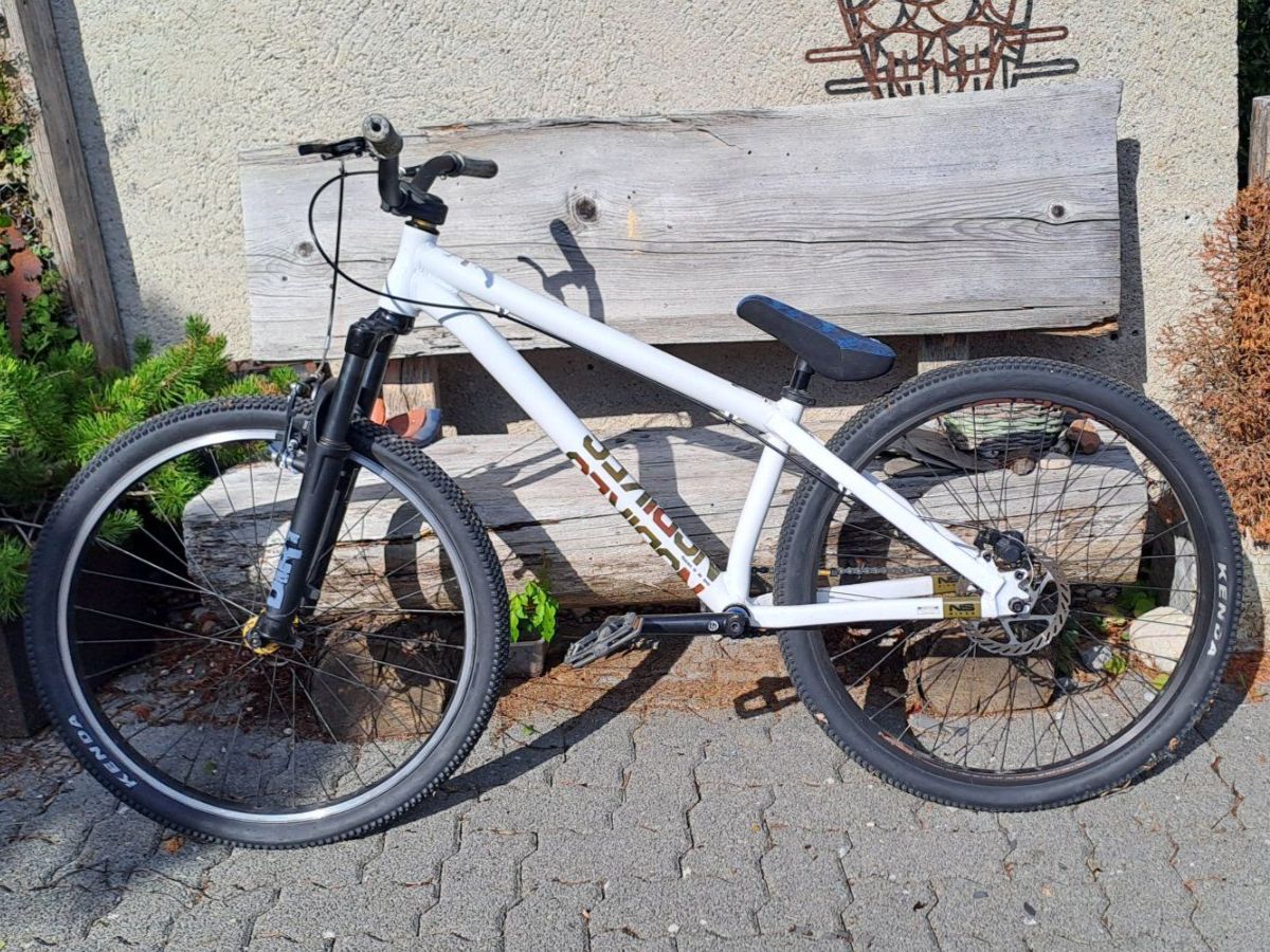 Biciclette: NS Bike Movement 3 white – Usato da Wald ZH venduto da Bagira1