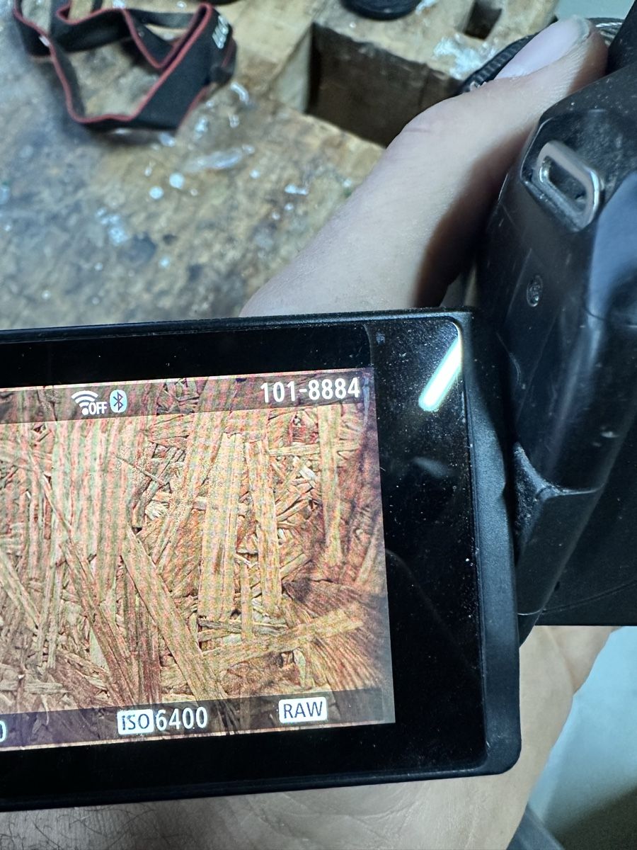 Canon Kamera: Canon EOS 250 D – Gebraucht aus Bremgarten AG von Vin_t55b 2
