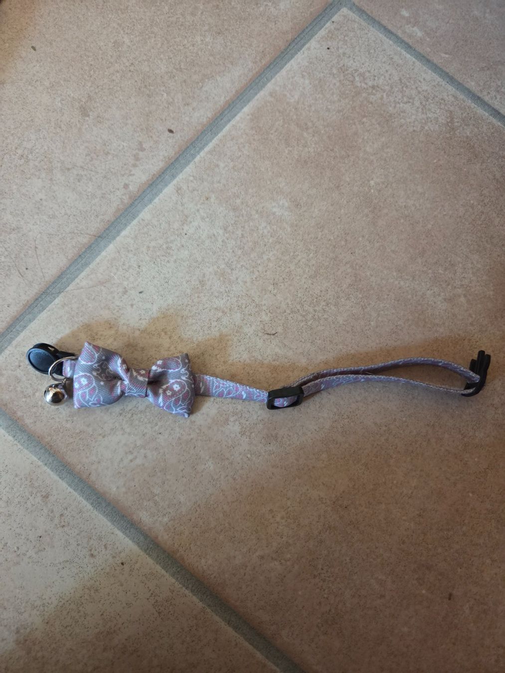 Nastri decorativi: Halsband Katze – Nuovo (secondo la descrizione) da Bitsch venduto da Bpetzi