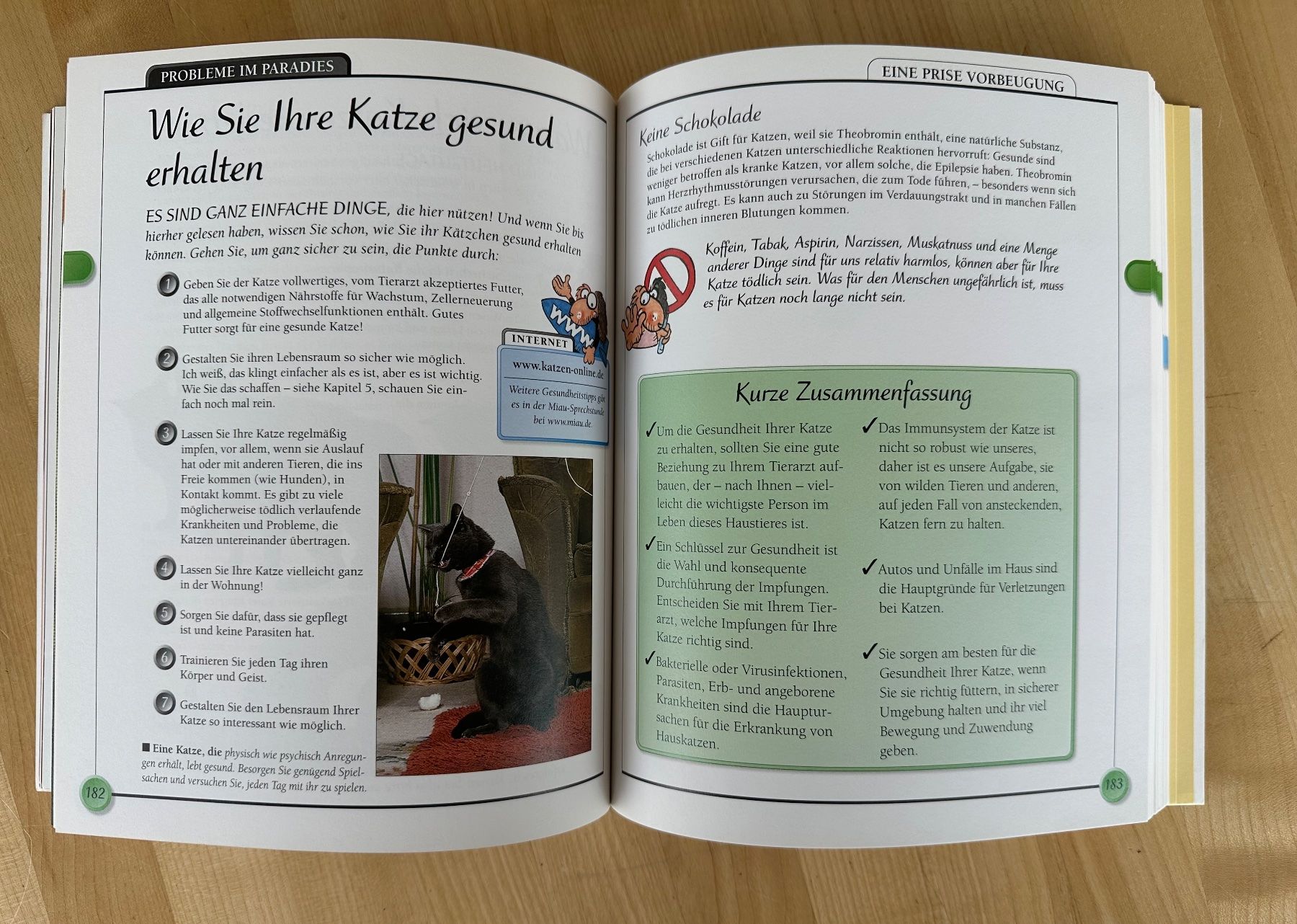 Libri: Katzen Handbuch – Usato da Zürich venduto da ruedigg 2