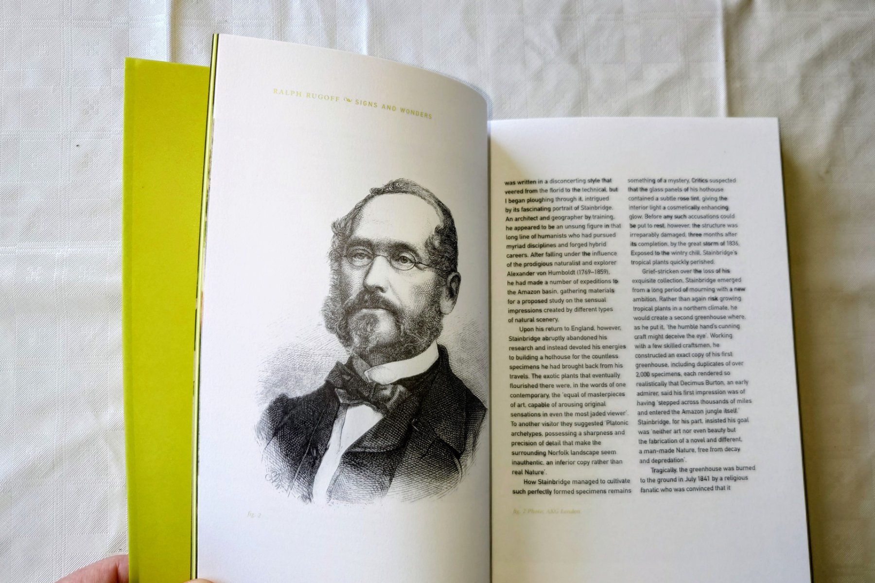 Livres: The Greenhouse Effect - Katalog Ralph Rugoff. Rare EA 2000 – D'occasion à Zürich par Rst7 4