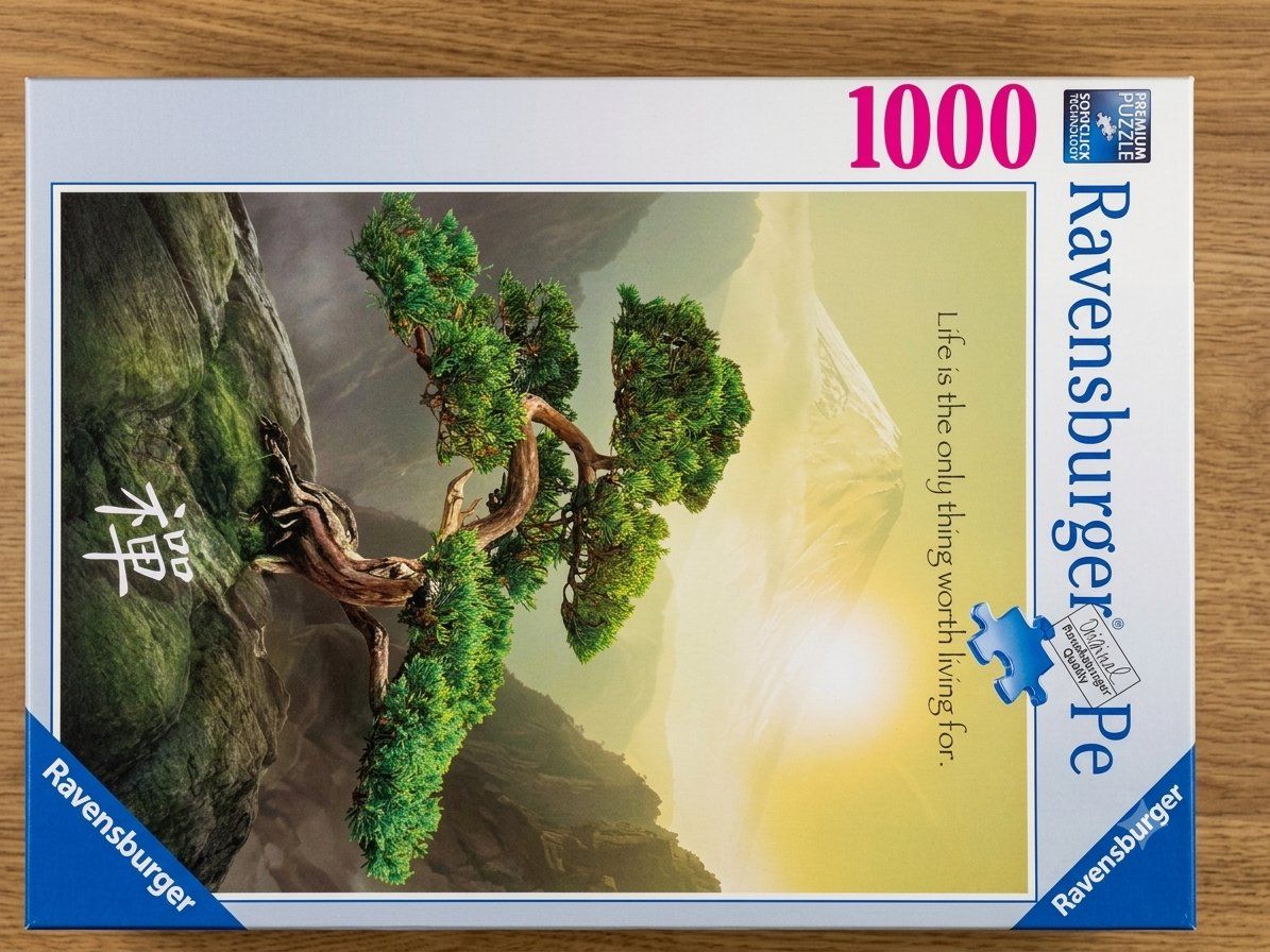 Ravensburger Puzzle: 8 Ravensburger Puzzles 1000/500 Teile & Roll-Matte – Usato da Bex venduto da Dani-Dany 5
