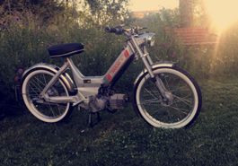 Condor Puch Maxi N