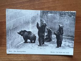 AK  ca 1920 Bern bärengraben ungelaufen  (G1969)