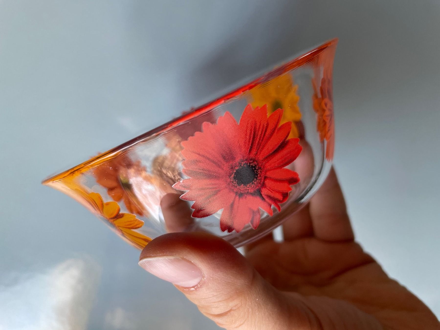 Ciotole: 2er-Set Sonnenblumen-Glasschalen – Usato da Buchs SG venduto da Handyman77 2