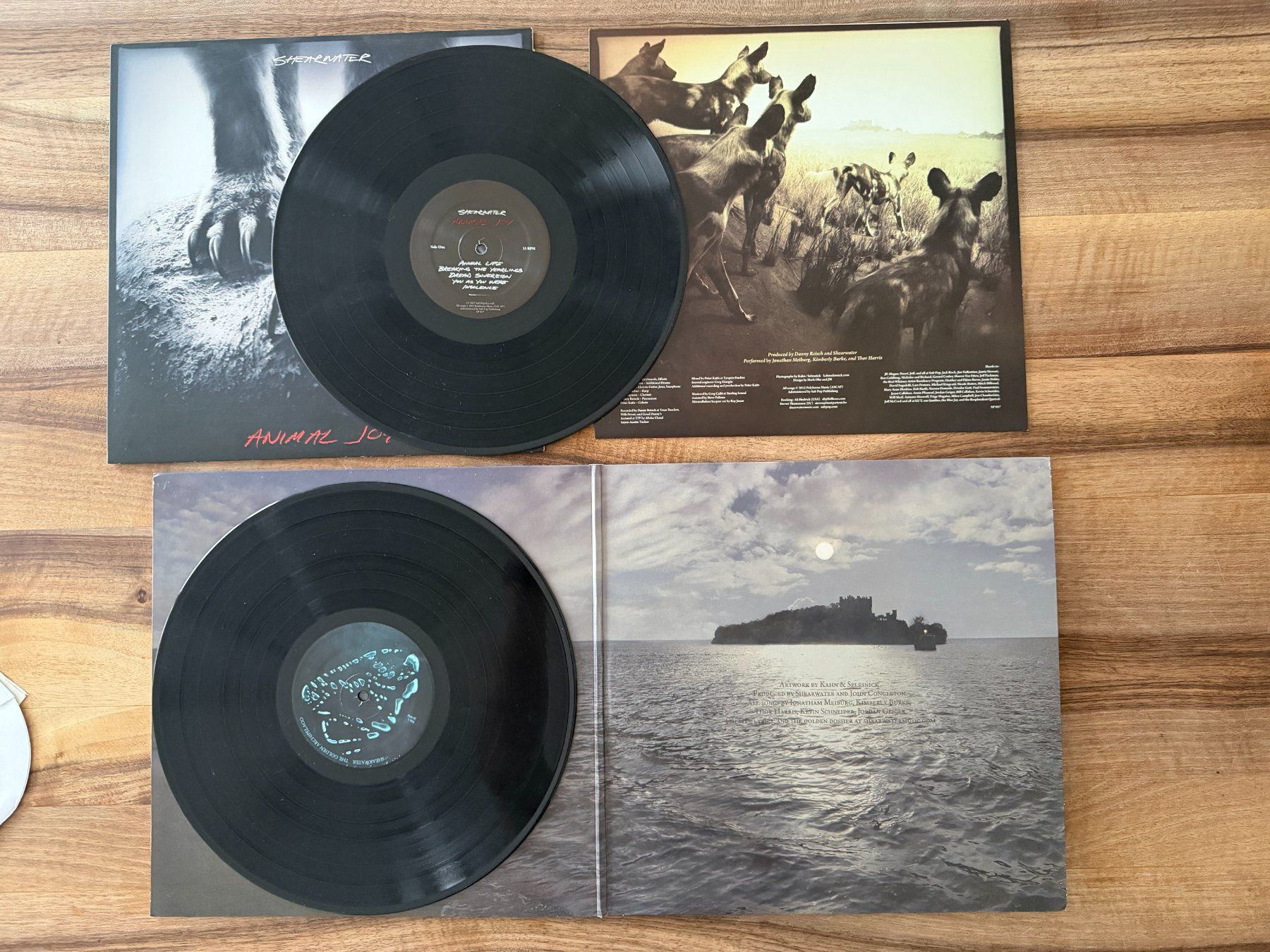 Dischi in vinile: Shearwater, 2 LPs - Indie Rock – Usato da Liebefeld venduto da pearldiver 1
