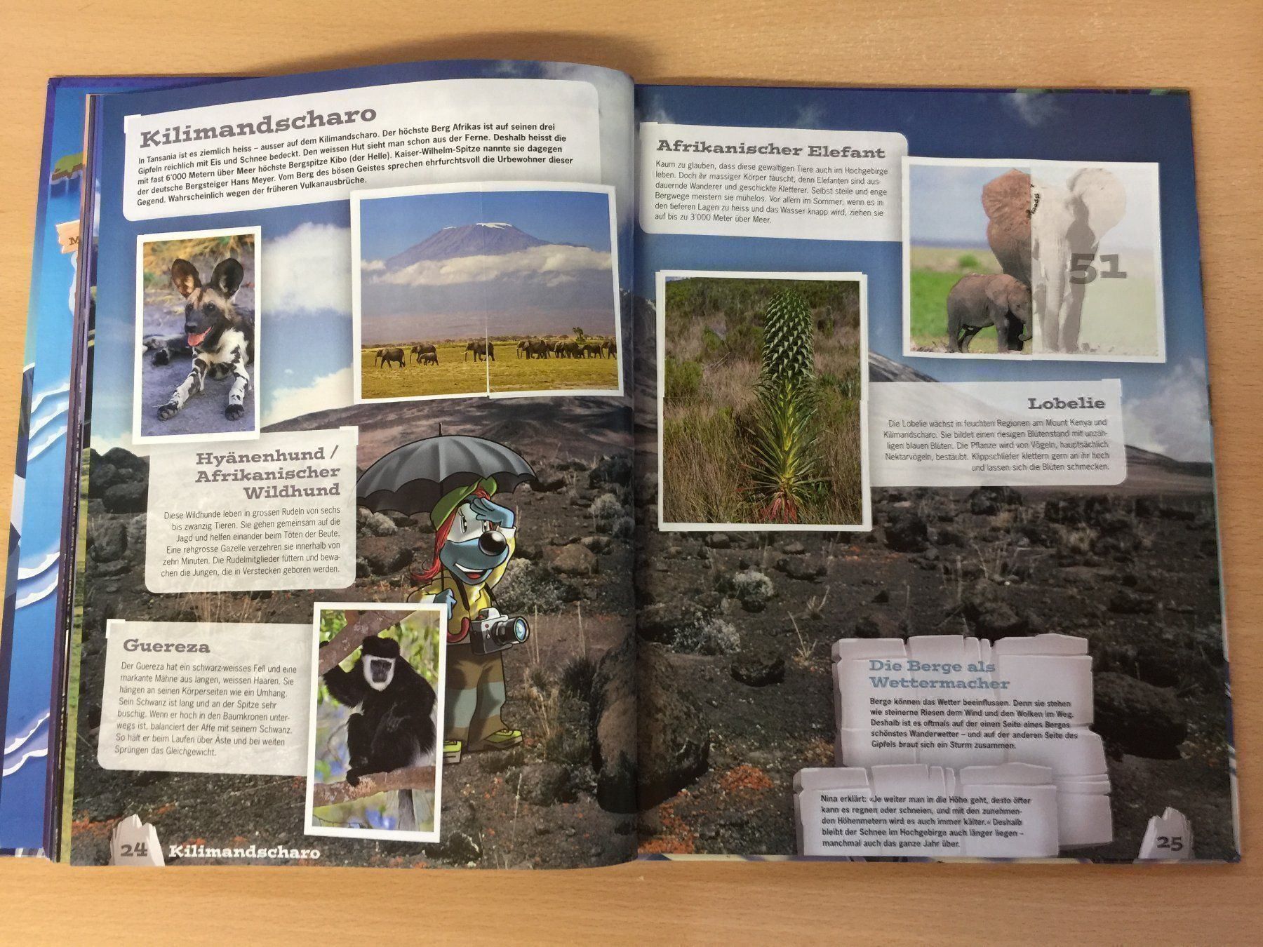 Libri: Mountainmania Abenteuer Bergwelt WWF – Usato da Glattfelden venduto da cybermaxx 3