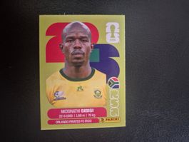 Panini WM 26 RSA 10