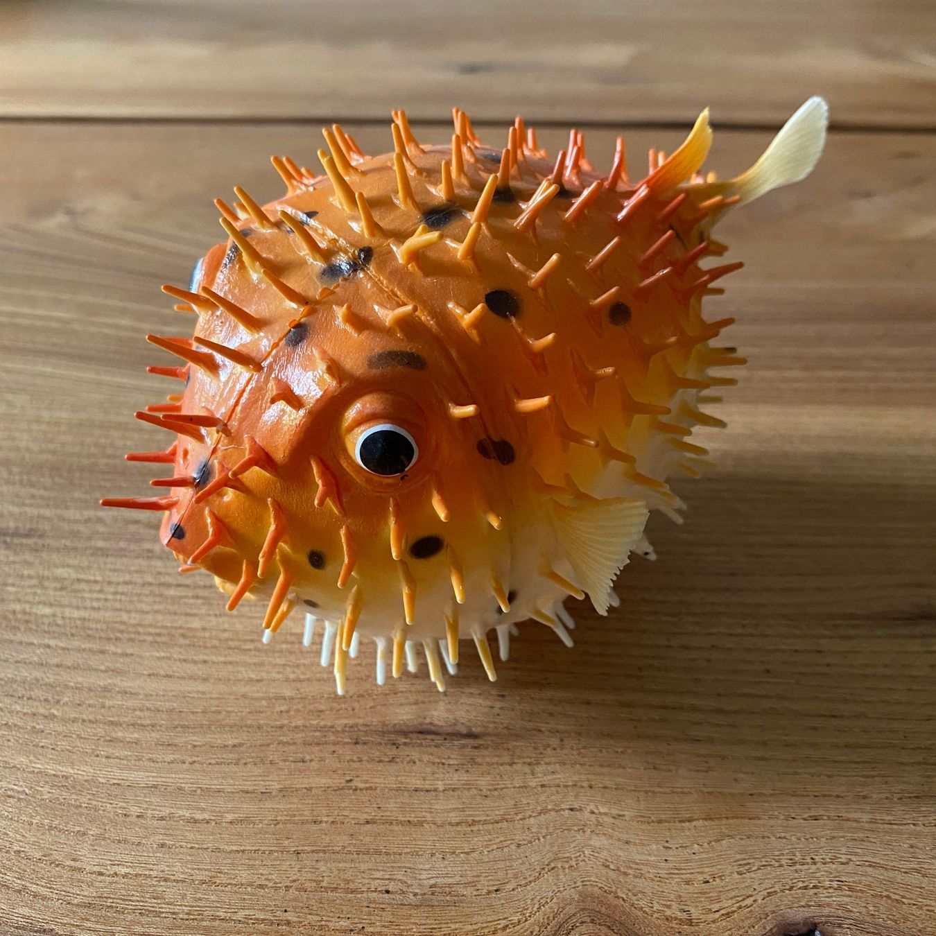 Tutte le decorazioni: Kugelfisch aus Plastik – Usato da Kastanienbaum venduto da Niara2