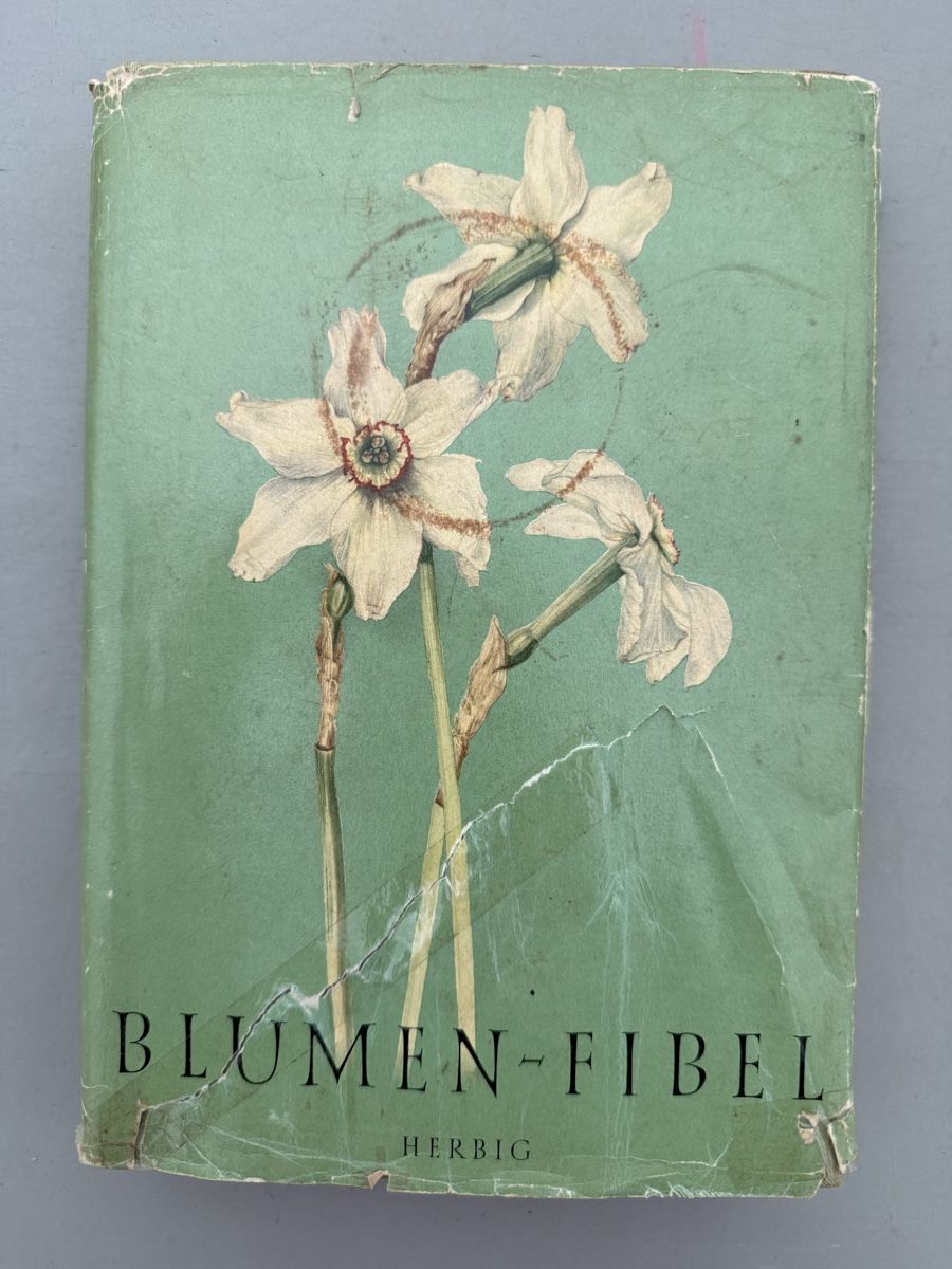 Libri: // Blumenfibel // – Usato da Birmenstorf AG venduto da Pat_roll.
