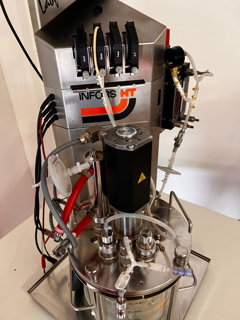 Tutte le macchine: Infors HT Labfors Bioreactor System 2.5L Vessel – Usato da Niederdorf venduto da LeptonAG_Labor 1