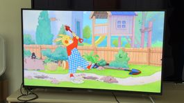 Fernseher 55 Zoll