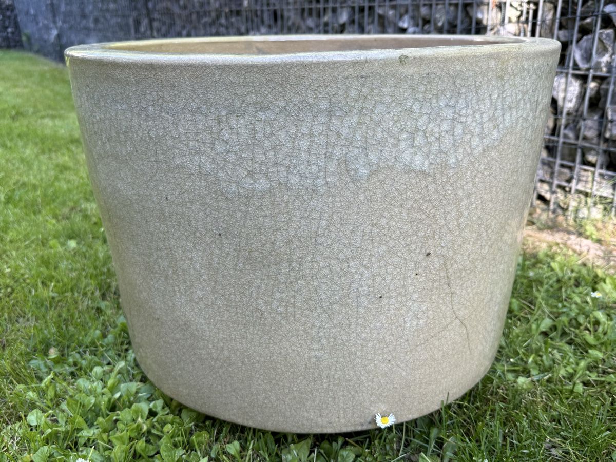 Vasi per fiori: Pflanzkübel Pottery Blumentrog Übertopf – Usato da Zollikon venduto da bid_turi 6