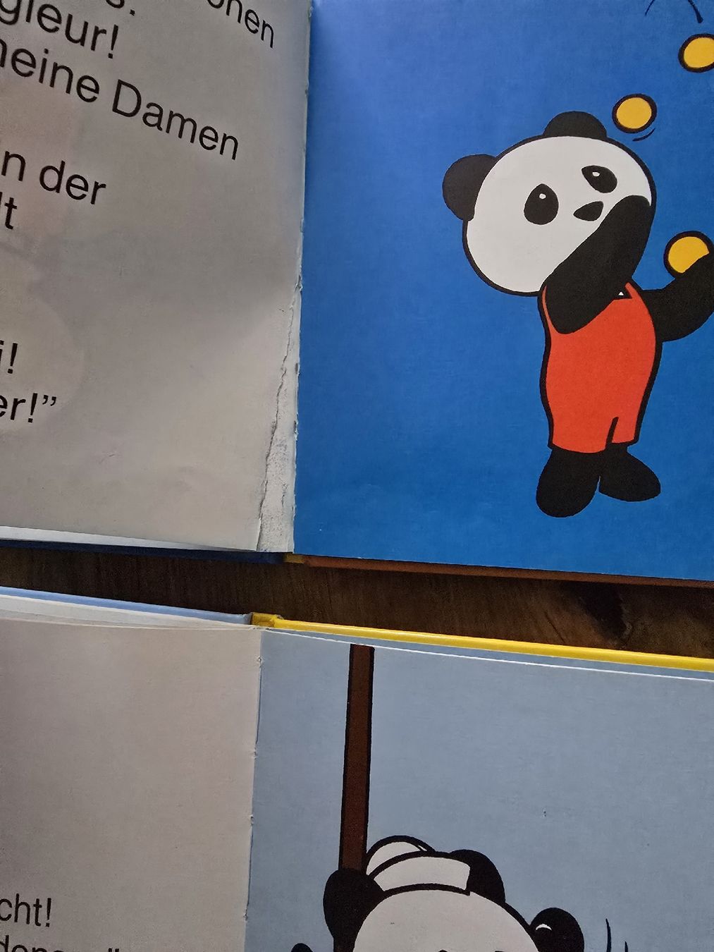 Libri: pandi bücher set – Usato da Wittenbach venduto da Tigerlili 9