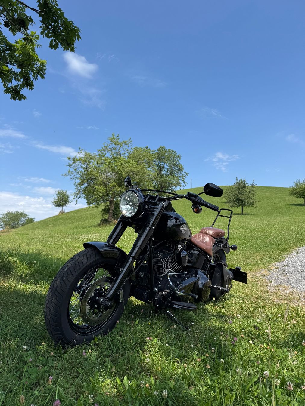 Harley-Davidson Chopper: Harley Softail Slim S110 FLSS – Usato da Buonas venduto da Mikesteal