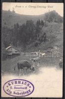 AK Gruss V.D.Oberegg-Scheidegg Wald ZH 1905