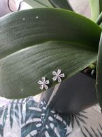 2 in 1 Design Blüten Ohrringe mit Fransen; zeitlose Eleganz!