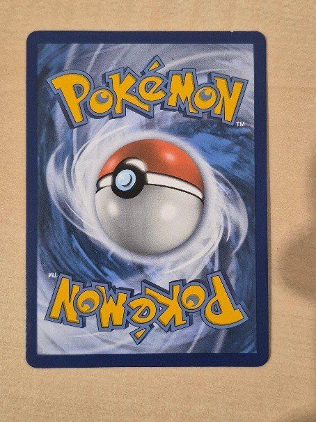 Pokémon Carte collezionabili: Charizard & Braixen GX (SM230) – Nuovo (secondo la descrizione) da Thun venduto da Ryyf 1