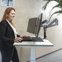 Sinoswiss-Twin Monitorhalterung