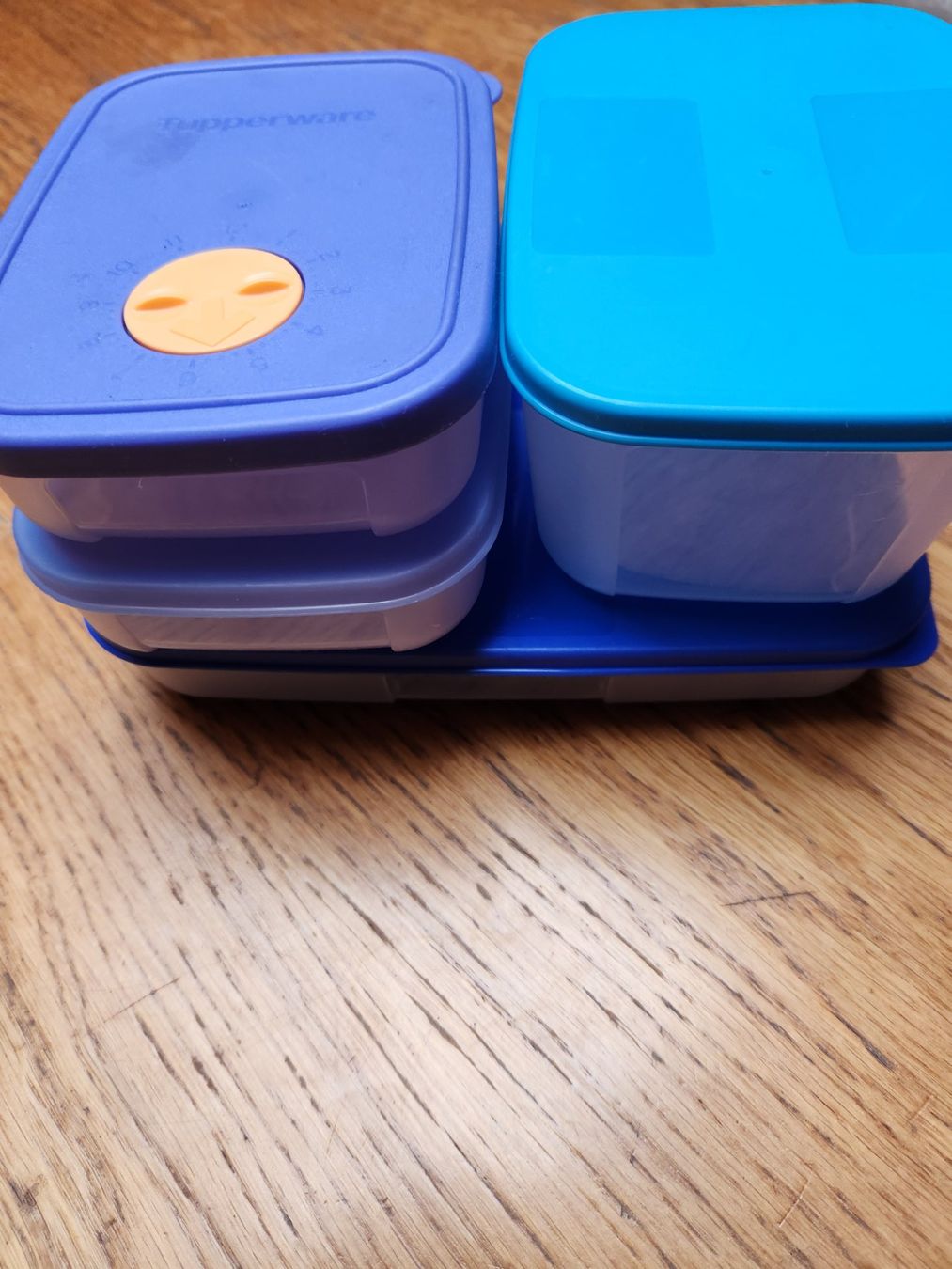 Tupperware Contenitori & Simili: Tupperware 3 Behälter flach,  + einmal 7.5cm höhe – Usato da Gstaad venduto da Kuhstall-2026 1