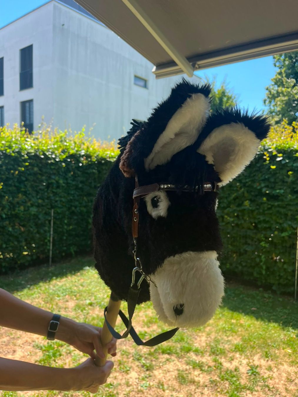 Spielzeuge: Hobby Horse - Esel – Gebraucht aus Nänikon von a.hugentobler 2