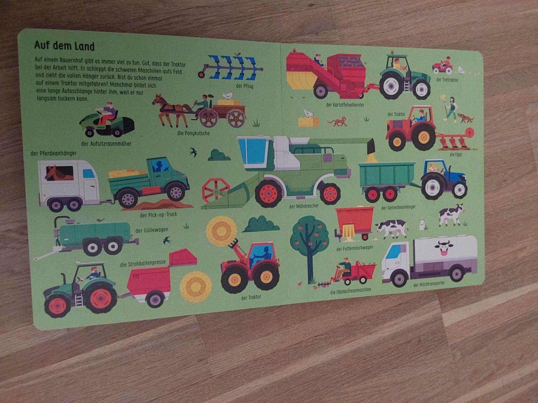 Libri: Kinder Bücher – Usato da Wallisellen venduto da Wallisellen77 2