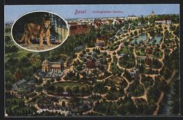 Basel, Puma, Zoologischer Garten mit Sta