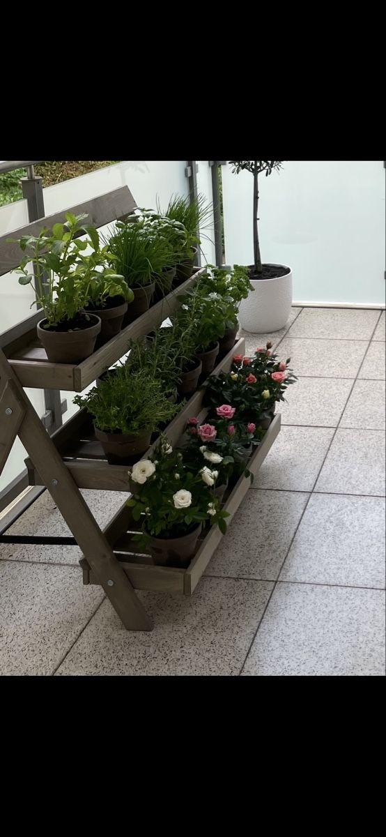 Altro per la casa: Blumenregal inkl. Töpfchen – Usato da Rümlang venduto da G_Rohrer