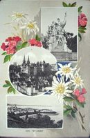NEUCHÂTEL Edelweiss Alpenrosen, 3 Ansichten