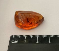 Ambre avec insectes 3,3 g / Bernstein Insekten