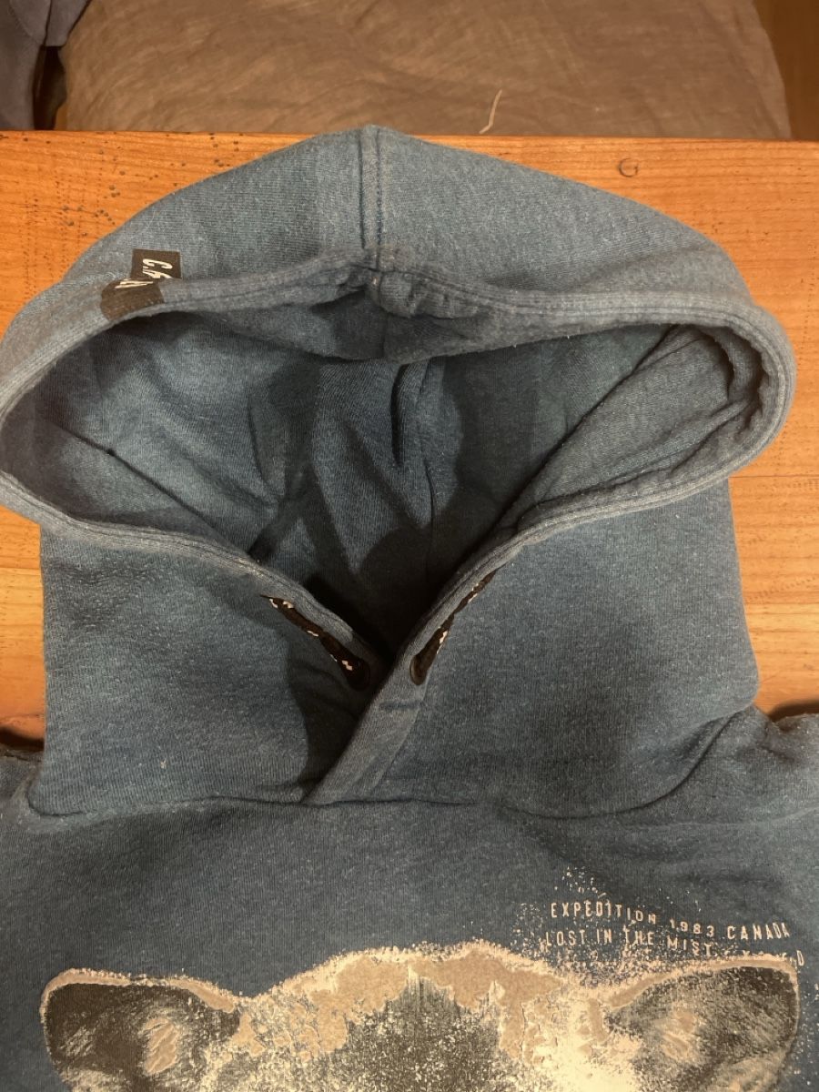 C&A Maglioni & Felpe: Blauer Wolf Hoodie Gr. 146/152 – Usato da Bonstetten venduto da soleillle 4
