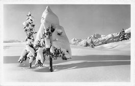 Crans-sur-Sierre (VS) – Alpenpanorama mit Mont Blanc